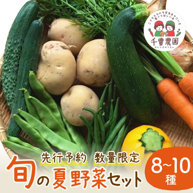 【 先行予約 ／ 数量限定 100】農家直送 旬の 夏野菜 8～10種 セット 野菜 採れたて 夏 新鮮 旬野菜 夏野菜カレー 野菜 オクラ ゴーヤ ピーマン トマト 栽培期間中農薬不使用 有機肥料 土づくり やさい 揚げ浸し 焼き浸し 濃厚 ふるさと納税 野菜