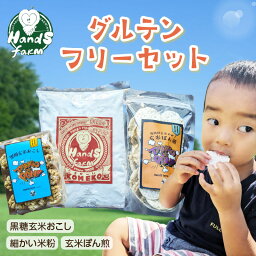 【ふるさと納税】ハンズファーム グルテンフリーセット (細かい米粉500g1袋×黒糖玄米おこし60g1袋×玄米ぽん煎餅50g1袋) ポン菓子 焼菓子 米菓 せんべい グルテンフリー 米粉 離乳食 ハンズファーム おやつ お米 玄米 駄菓子 子ども 黒糖 お菓子 送料無料 京都 国産 健康