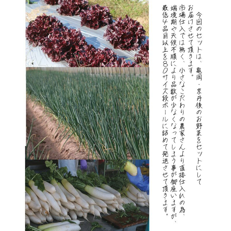 【ふるさと納税】 【定期便】合計4回お届け　有機野菜・京野菜の『京都やおよし』の京丹後・亀岡市お野菜詰め合わせ 野菜 お野菜 京野菜 詰め合わせ ふるさと納税 野菜 セット 定期便