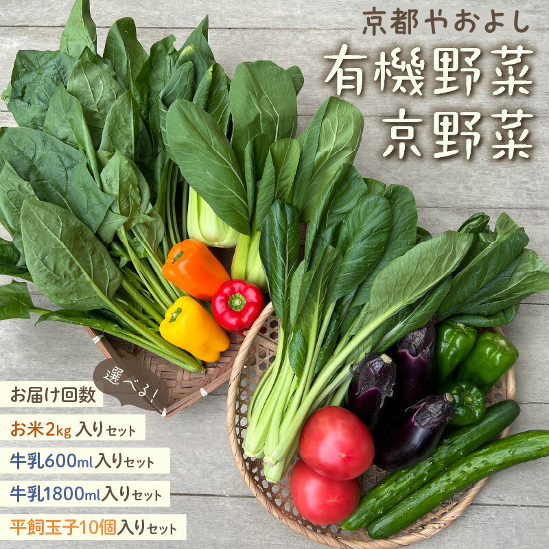 ڤդ뤵ǼǡͭڡڤΡصԤ䤪褷٤Τڵͤ碌  +2kg +ʿ̻10 +200m...