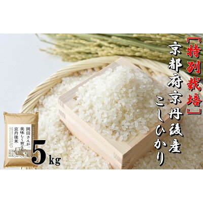 楽天ふるさと納税　【ふるさと納税】特別栽培 京都府京丹後市産こしひかり 岡田さんが美味しく育てた京丹後米 5kg　米 お米 特別栽培 国産 5キロ ご飯 京都 京丹後 ふるさと納税 米 生産者応援 農家応援 送料無料