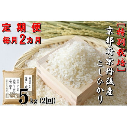 【定期便2か月】特別栽培 京都府京丹後市産こしひかり 岡田さんが美味しく育てた京丹後米 5kg×2か月　米 お米 特別栽培 国産 ご飯 定期便 2回 京都 京丹後 ふるさと納税 米 生産者応援 農家応援 送料無料