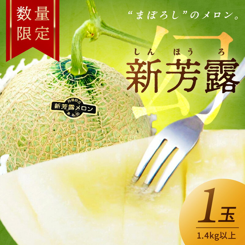 2026年夏発送【先行予約／数量限定15】新芳露メロン1玉(2026年7月中旬～発送) 国産 旬 めろん ふるさと 納税 メロン 1玉 ふるさと 納税 先行予約 期間限定 ふるさと 納税 フルーツ くだもの 果物 先行申込