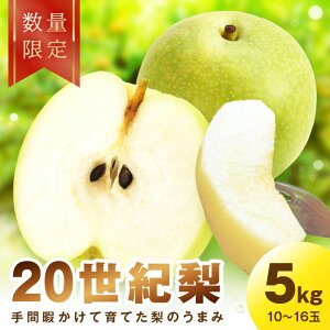 【ふるさと納税】高評価★5.0 高レビュー★【先行予約/数量限定100】廿世紀梨 5kg(2025年9月上旬~発送)フルーツ くだもの 国産 梨 二十世紀 20世紀 廿世紀 ふるさと 納税 先行予約 期間限定 数量限定 ふるさと納税 フルーツ