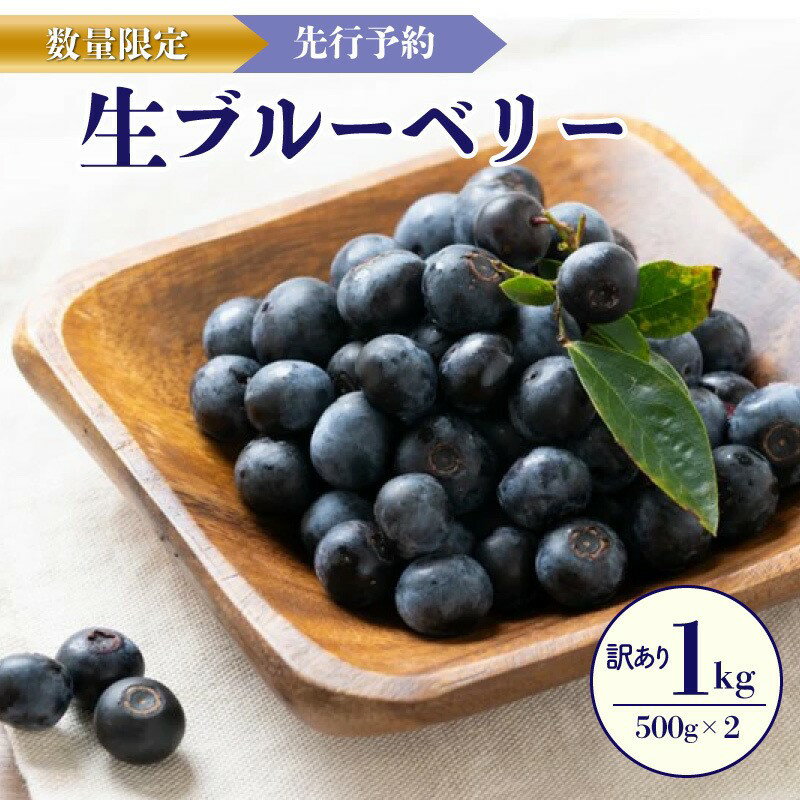 ڤդ뤵Ǽǡۡͽ󡿿̸20̵ۡ ֥롼٥꡼500g22026ǯ7ܡȯ  ֤롼٤꡼ ե롼 ʪ ȥ...