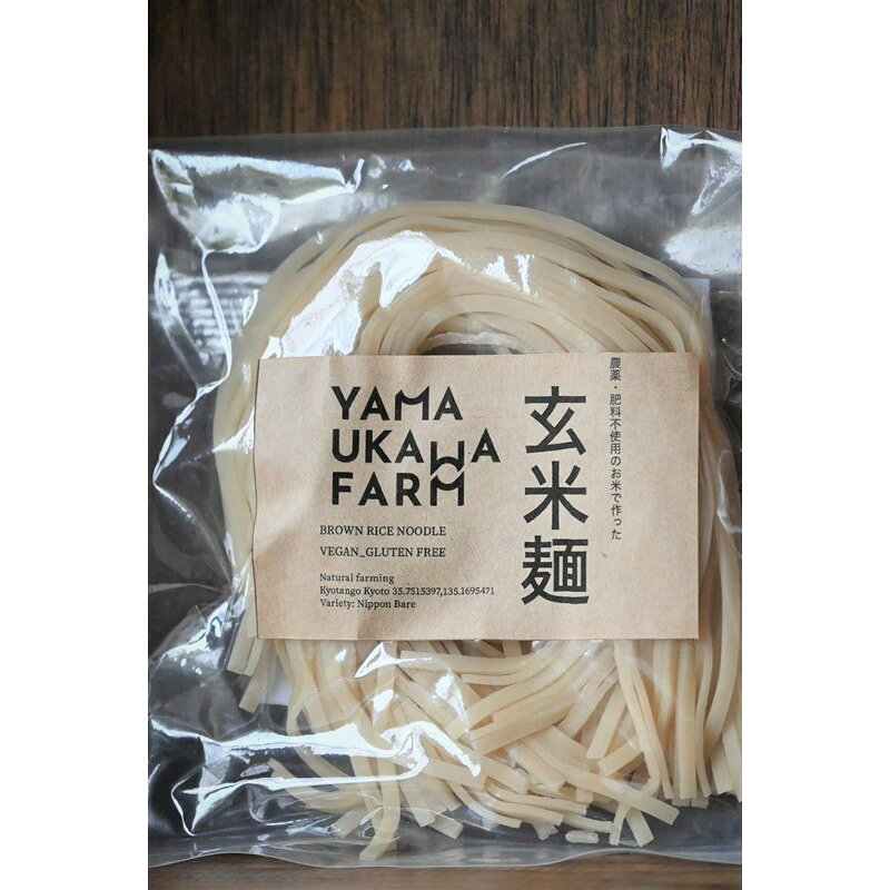 【ふるさと納税】栽培期間中農薬・化学肥料不使用 玄米麺10袋セット 麺 麺類 玄米麺 玄米 グルテンフリー ヴィーガン 健康食 健康 栄養 雑穀 防災食 米粉面 パスタ 代替 中華そば 代替 うどん 代替