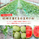 京都府京丹後市の画像3