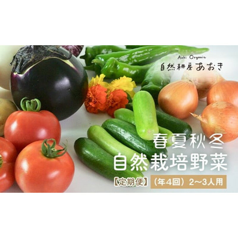 [年4回定期便]春夏秋冬自然栽培野菜セット(年4回)2〜3人用 ふるさと納税 野菜 自然栽培 オーガニック 季節 定期便 旬野菜