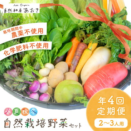 【年4回定期便】春夏秋冬自然栽培野菜セット(年4回)2～3人用　ふるさと納税 野菜 自然栽培 オーガニック 季節 定期便 旬野菜