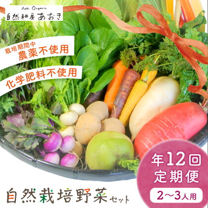 自然栽培野菜セット（年12回）2~3人用　定期便　月1回×12ヵ月　ふるさと納税 野菜 自然栽培 季節 定期便 旬野菜