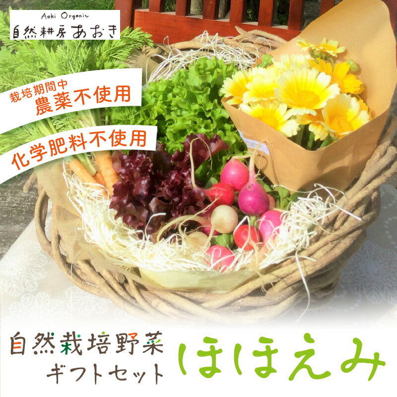 【ふるさと納税】【数量限定】自然栽培野菜ギフトセット（ほほえみ）　ふるさと納税 野菜 自然栽培 季...