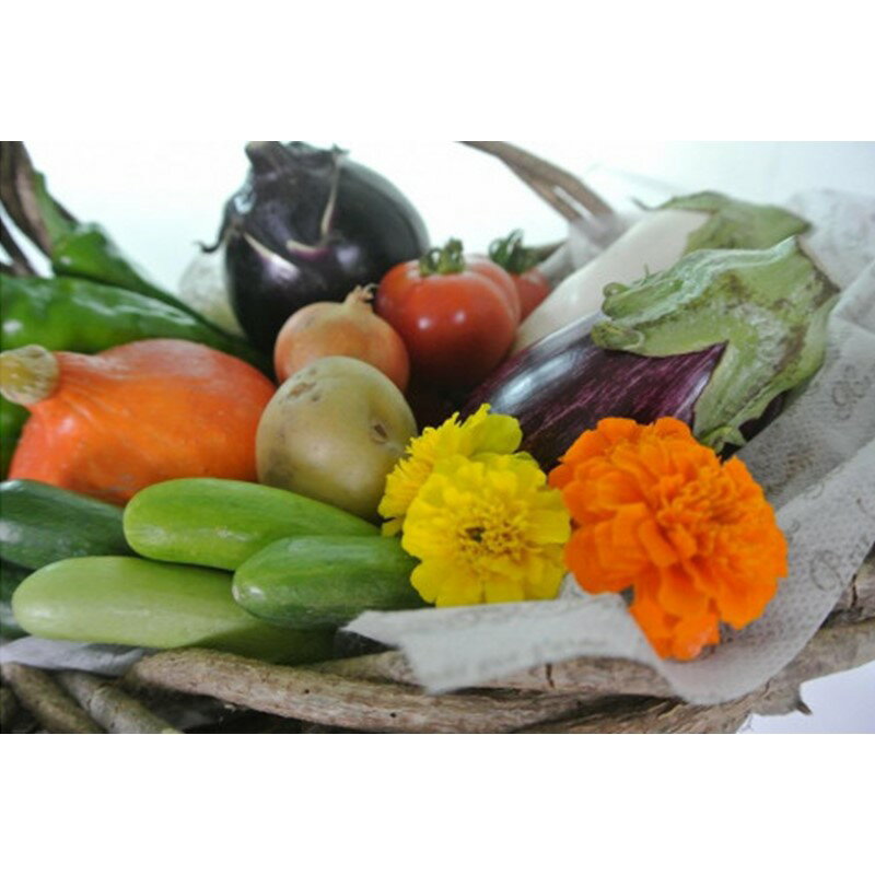 [数量限定]自然栽培野菜セット(陽だまり) ふるさと納税 野菜 自然栽培 旬野菜 季節 セット 詰め合わせ
