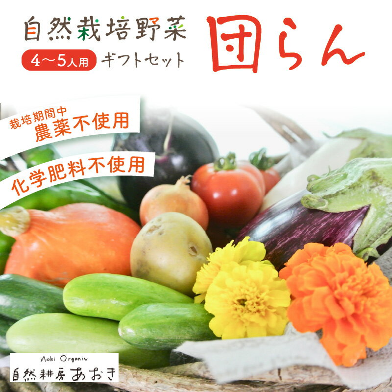 【ふるさと納税】【数量限定】自然栽培野菜セット（団らん）　ふるさと納税 野菜 自然栽培 旬野菜 季節 セット 詰め合わせ