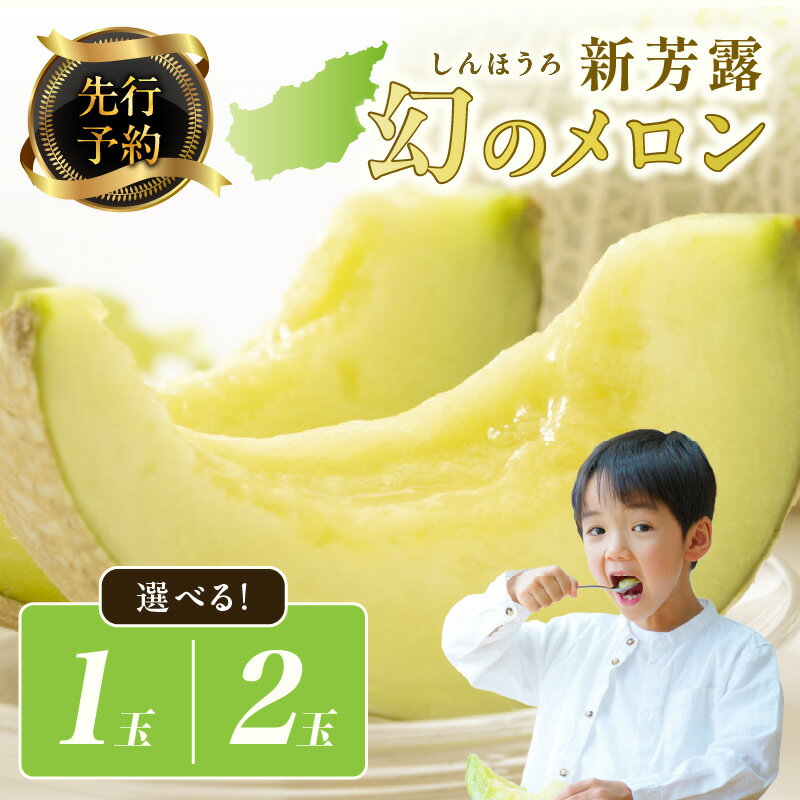 【ふるさと納税】【先行予約】幻のメロン 新芳露（2026年7月下旬～発送） 1玉 2玉