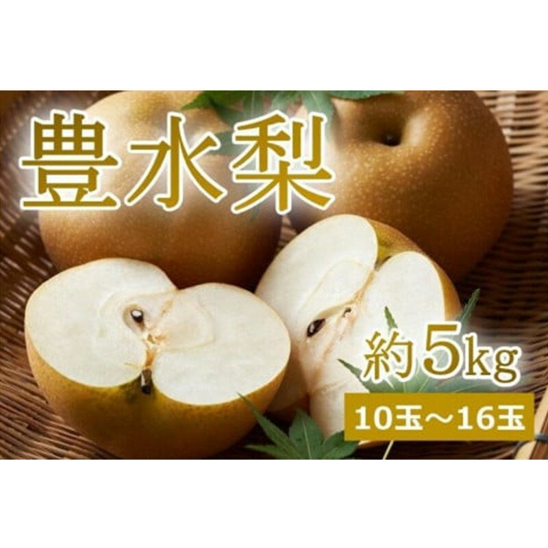 [先行予約]樹上完熟 豊水梨 5kg(10〜16個)(2024年9月上旬〜発送) 国産 10〜16 個 玉 フルーツ 果物 なし 豊水 ふるさと 納税 梨 なし ナシ ふるさと 納税 先行予約 期間限定 ふるさと 納税 フルーツ くだもの 農家直送