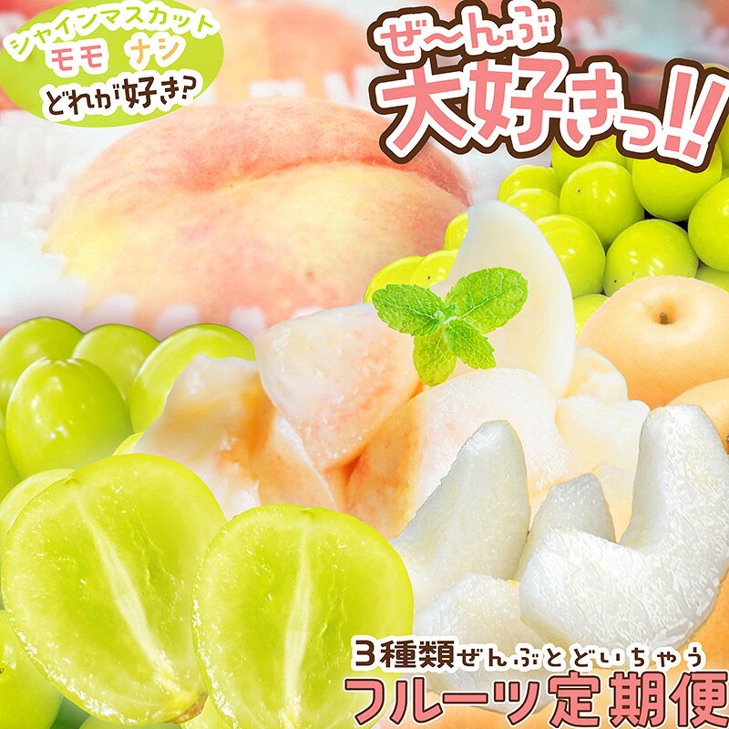 ブレンドファーム厳選!京丹後おススメフルーツ定期便3種（桃、シャインマスカット、新興梨） ふるさと納税 果物 くだもの フルーツ もも マスカット なし 定期便