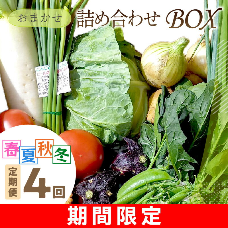 楽天京都府京丹後市【ふるさと納税】【訳あり／定期便 四季4回】高評価★4.71 高レビュー★ 「京都・京丹後産 季節の野菜」お任せ詰め合わせBOX（5品以上） 定期便4回 食べ方・レシピ付き　京野菜 季節 の 野菜 新鮮 ＜ふるさと納税 野菜・きのこランキング入り＞ 四季 直売所直送 お取り寄せ