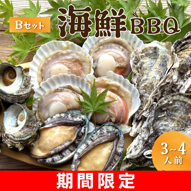 1位! 口コミ数「1件」評価「4」BBQに最適 大満足！京丹後・海鮮BBQ　Bセット　貝づくし蒸しアワビ付　4種14品（3～4人前）　魚介類 さざえ 蠑螺 カキ かき ほたて･･･ 