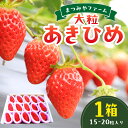 【ふるさと納税】【先行予約/数量限定200】【特選】京都・まつみやファームの大粒いちご(あきひめイチゴ)15〜20粒(2026年2月上旬〜発送) 章姫 甘味 あ...