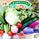 【ふるさと納税】高評価★5.0 高レビュー★ 京都・まつみやファームの京都の野菜秋冬セット(5品) 野菜 セット 詰め合わせ 春菊 ブロッコリー 白菜 大根 ト...