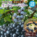 【ふるさと納税】残りわずか 【先行予約/数量限定50】国産 京都丹後ブルーベリー 350g×2パック(2025年7月中旬〜発送) 生 ぶるーべりー 果物 完熟 ...