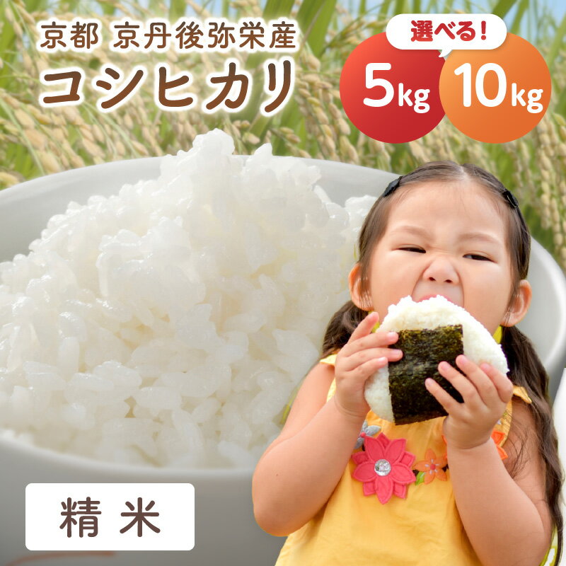 楽天市場】丹後コシヒカリ 玄米の通販 楽天市場】丹後コシヒカリ 玄米の通販