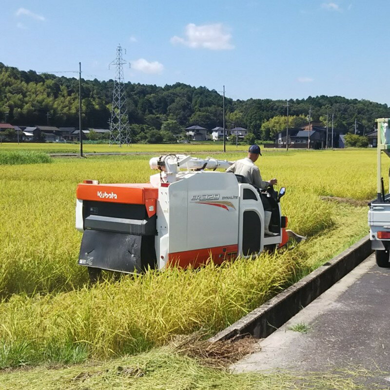 京都・峰山長岡産 丹後こしひかり 玄米5kg 10kg 選べる 内容量 玄米 コシヒカリ 京都産 ふるさと納税 米 2025年産
