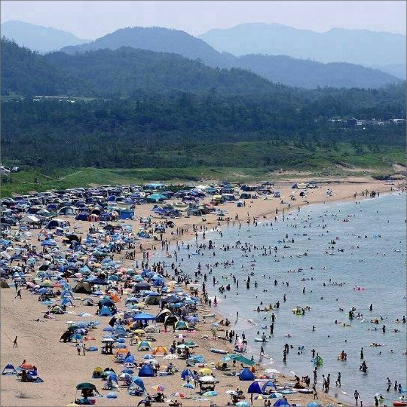 【ふるさと納税】〜ブルーフラッグ認証取得を目指して〜 安心・安全、事故ゼロのビーチづくりへの活動支援【返礼品なし】 1口5,000円～1,000,000円 選べる 寄附額 選べる 地域応援 地域支援 活動応援 活動支援 協賛金 支援 返礼品なし