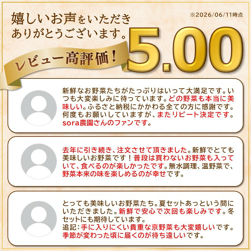 【ふるさと納税】高評価★5.0 高レビュー★【有機野菜】京都・京丹後 SORA農園 有機野菜 セット 1回 年2回定期便(夏季・冬季) 選べる 回数 8種前後 12種類前後 オーガニック野菜 詰め合わせ 栽培期間中農薬不使用 ふるさと納税 オーガニック ふるさと納税 有機野菜