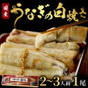【ふるさと納税】京都丹後の名店居酒屋がお届けするうなぎの白焼き2~3人前(1尾) ウナギ 鰻 白焼 しらやき タレ 国産 丑の日 ふるさと納税 うなぎ ふるさと...