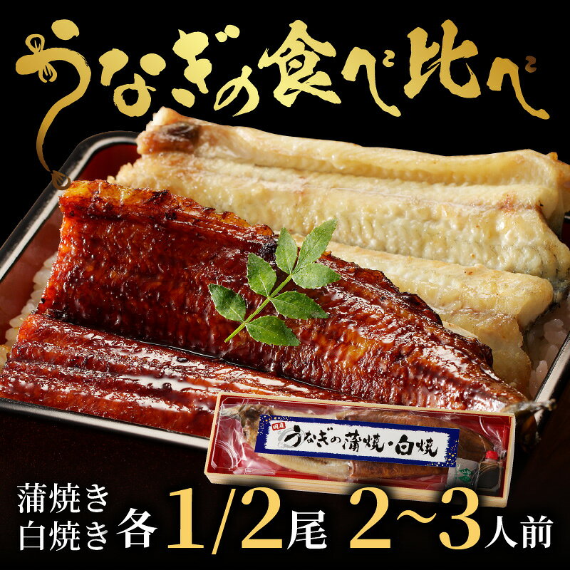 サンプル画像2