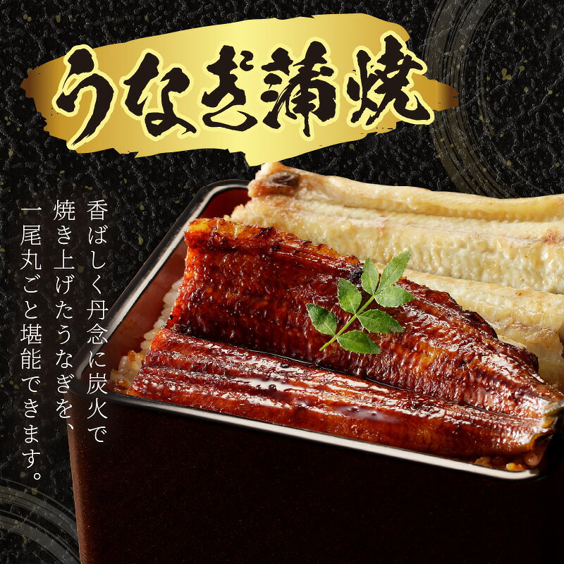 サンプル画像3