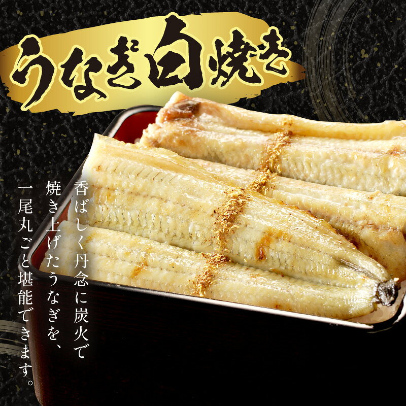 【ふるさと納税】京都丹後の名店居酒屋がお届けするうなぎの白焼き2~3人前(1尾) ふ...