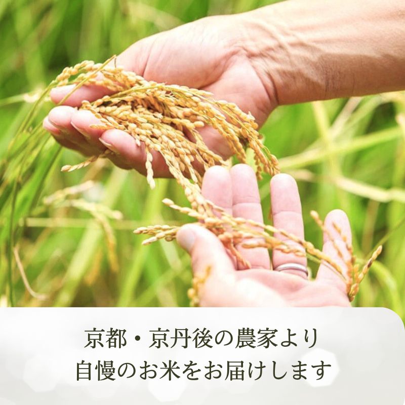 【ふるさと納税】玄米【京都の家族経営農家直送】 高評価★5.0 高レビュー★ 2026年産 丹後弥栄産コシヒカリ 玄米 5kg 10kg 定期便 1回 6回　選べる 内容量 定期便 ふるさと納税 お米 米 玄米 コシヒカリ 定期便 農家直送 丹後こしひかり ふるさと納税 玄米