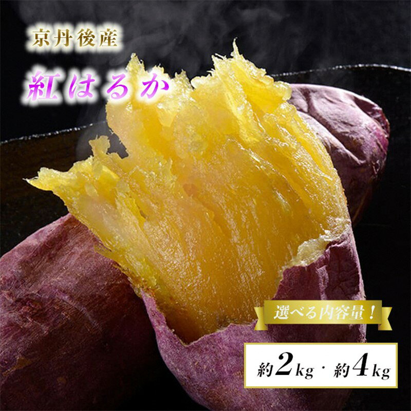 【先行予約／数量限定100】砂丘育ち 女性に人気の新物 砂丘甘藷 紅はるか （2kg前後）約6～18本入 （4kg前後）約12～36本入 （2025年1月～発送） 選べる 内容量 野菜 芋 さつまいも ふるさと納税 紅はるか 国産 べにはるか サツマイモ さつま芋 薩摩芋