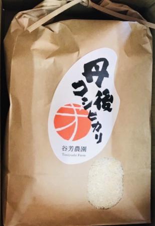 【ふるさと納税】京丹後産コシヒカリ＜令和3年度産＞5kg 京丹後産 お米 米 こめ 精米 新米 コシヒカリ 5