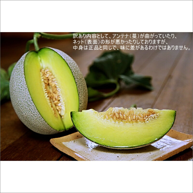 【ふるさと納税】 【先行予約／数量限定100】ゆめろんファームの青肉メロン（訳あり品）（2024年6月上旬～発送） 国産 ふるさと 納税 メロン 青肉 1玉 ふるさと 納税 先行予約 期間限定 ふるさと 納税 訳あり 規格外 ふるさと 納税 フルーツ