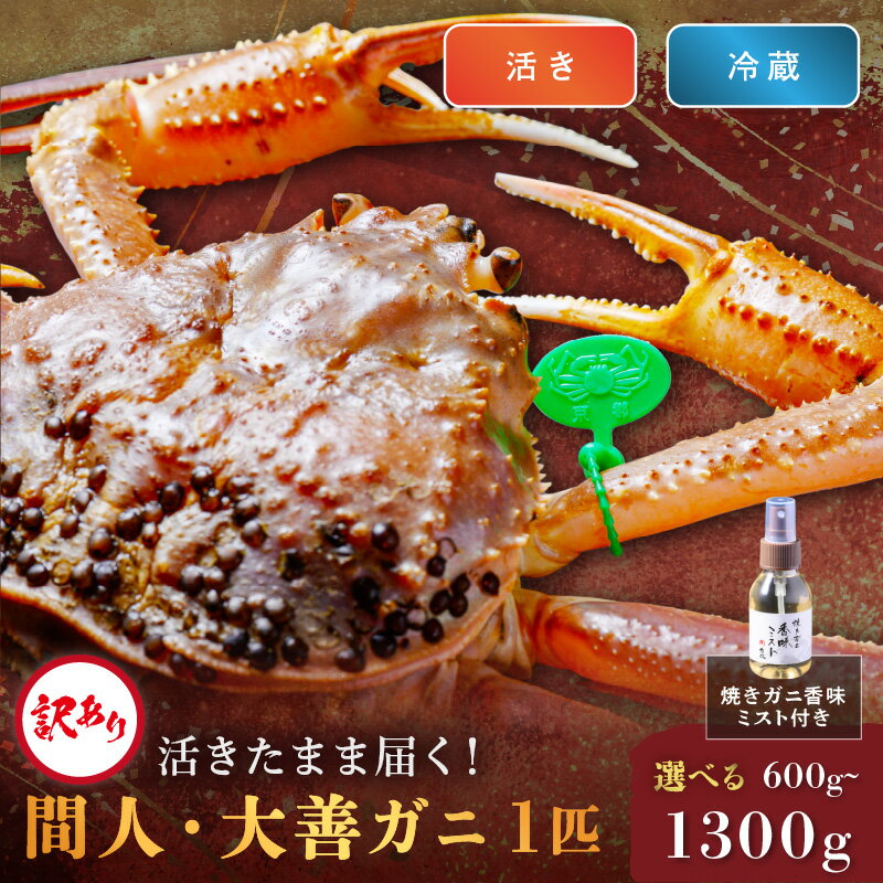 【ふるさと納税】訳あり【蟹の匠 魚政】京丹後市産 活きたまま届く! 間人ガニ大善ガニ 小サイズ 中サイズ 大サイズ 特大サイズ 1匹 香味ミスト付き (2026...