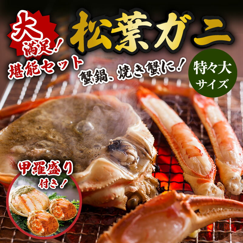 【ふるさと納税】【蟹の匠 魚政】＜松葉ガニ・セコ蟹 甲羅盛り付＞大満足!松葉ガニ堪能セット特々大サイズ 京都 松葉蟹 松葉がに 松葉かに カニスキ カニ鍋 蟹鍋 蟹刺し かに刺身 かにしゃぶ 蟹しゃぶしゃぶ 蟹雑炊 甲羅盛り ふるさと納税 松葉ガニ ふるさと納税 松葉蟹