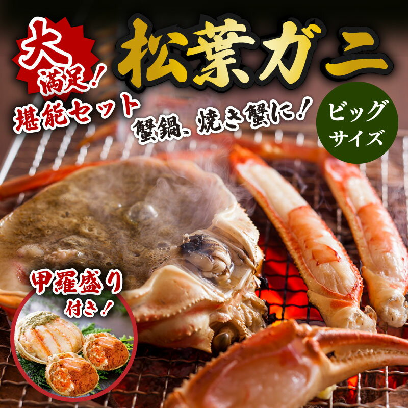 【ふるさと納税】【蟹の匠 魚政】＜松葉ガニ・セコ蟹 甲羅盛り付＞大満足!松葉ガニ堪能セットビックサ..