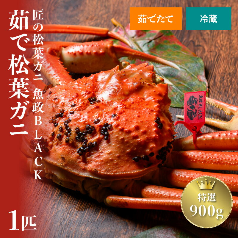 【ふるさと納税】【蟹の匠 魚政】茹で松葉ガニ 魚政BLACK 特選 900g級 1匹 松葉蟹 蟹 かに カニ ガニ がに ボイル 1~2人前 まるごと 海産物 海鮮 魚介 魚介類 甲殻類 海の幸 小 京都 京丹後 京丹後市 ふるさと納税 蟹 送料無料のサムネイル