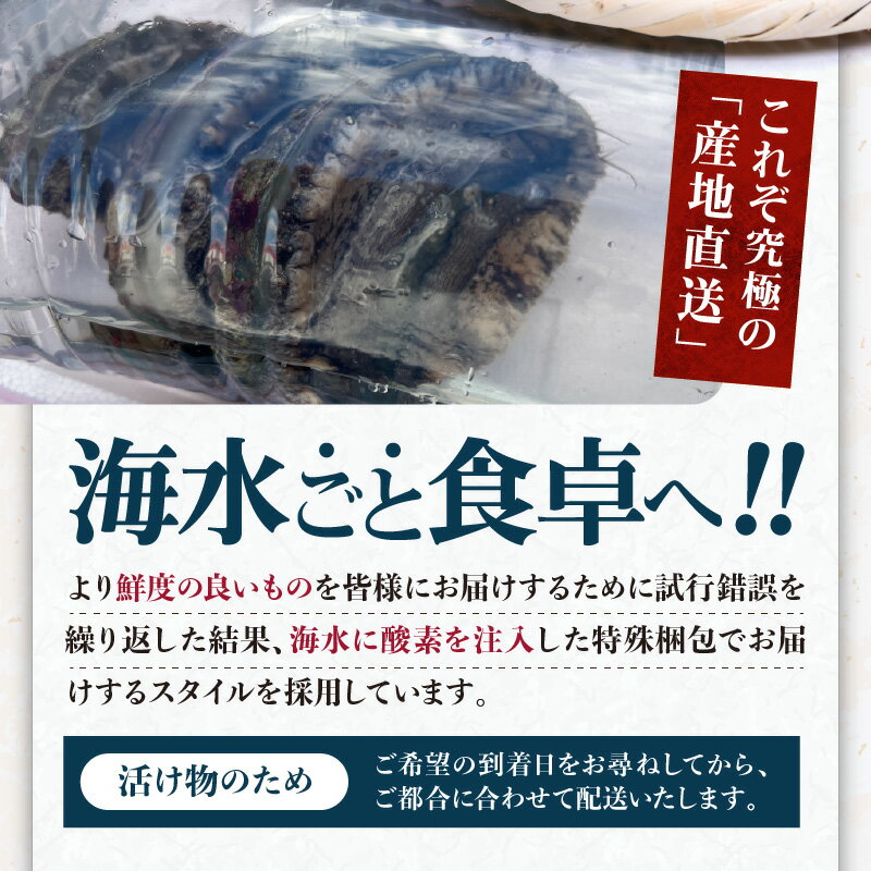 �ڤդ뤵��Ǽ�ǡ���������ġ� �褭���ޤ��Ϥ��ޤ��� ŷ��������� ����˻���������ü캭�� 1000g���� �������᥻�å� �դ뤵�� Ǽ�� ����� ���� �� ������ � ����� ��� ������� �ȸ� ���� �� ����� � �� ���� ð�� �դ뤵��Ǽ�� �褢���