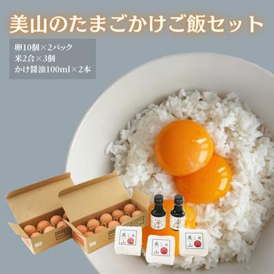 【ふるさと納税】卵 美山のたまごかけご飯セット たまごかけご飯 セット 詰め合わせ 玉子 20個 米 美し米 2合 3個 かけ醤油 2本 たまご 白米 精米 お米 こめ コメ コシヒカリ だし醤油 醤油 し…