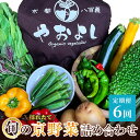 21位! 口コミ数「0件」評価「0」野菜 定期便 6ヶ月 京都 丹波野菜 詰め合わせ セット 京都やおよし 有機野菜 京野菜 オーガニック 有機JAS 栽培期間中農薬不使用 野･･･ 