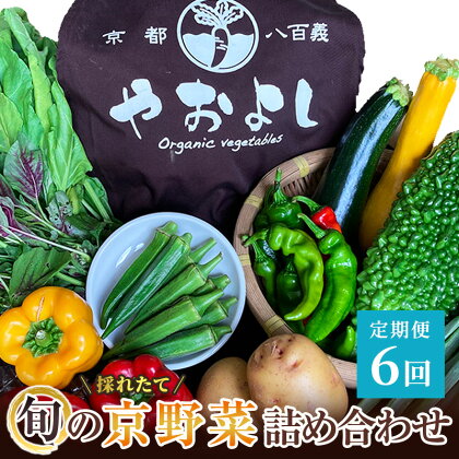 野菜 定期便 6ヶ月 京都 丹波野菜 詰め合わせ セット 京都やおよし 有機野菜 京野菜 オーガニック 有機JAS 栽培期間中農薬不使用 野菜定期 定期 お楽しみ 6回 ※北海道・沖縄・離島への発送不可　【定期便・ 南丹市 】