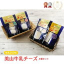 【ふるさと納税】チーズ 美山牛乳チーズ 4種 セット ゴーダ モッツァレラ カチョカヴァロ ストリング ゴーダチーズ モッツァレラチーズ カチョカバロ スティック 乳製品 加工食品 美山牛乳 詰め合わせ 京都(4)