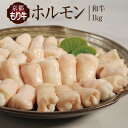 【ふるさと納税】牛肉 京都もり牛 和牛 ホルモン 1kg 小分け 京都府産 国産 国産牛 黒毛和牛 小腸 焼き肉 焼肉 BBQ バーベキュー もつ もつ鍋 鍋 お肉 牛 肉 ブランド ギフト 冷凍 京都　【牛肉/ホルモン・お肉・牛肉・焼肉・バーベキュー・お肉・もつ鍋・牛肉】