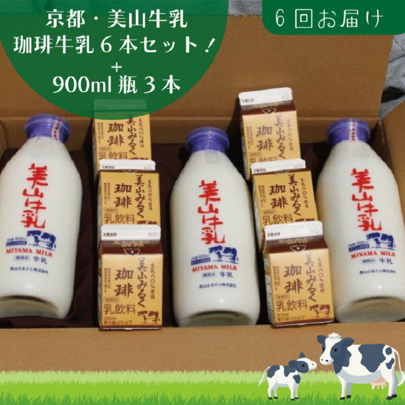 5位! 口コミ数「0件」評価「0」牛乳 定期便 6ヶ月 京都 美山牛乳 瓶 900ml ×3本 珈琲牛乳 200ml ×6本 詰め合わせ セット 美山町 お取り寄せ コーヒー･･･ 