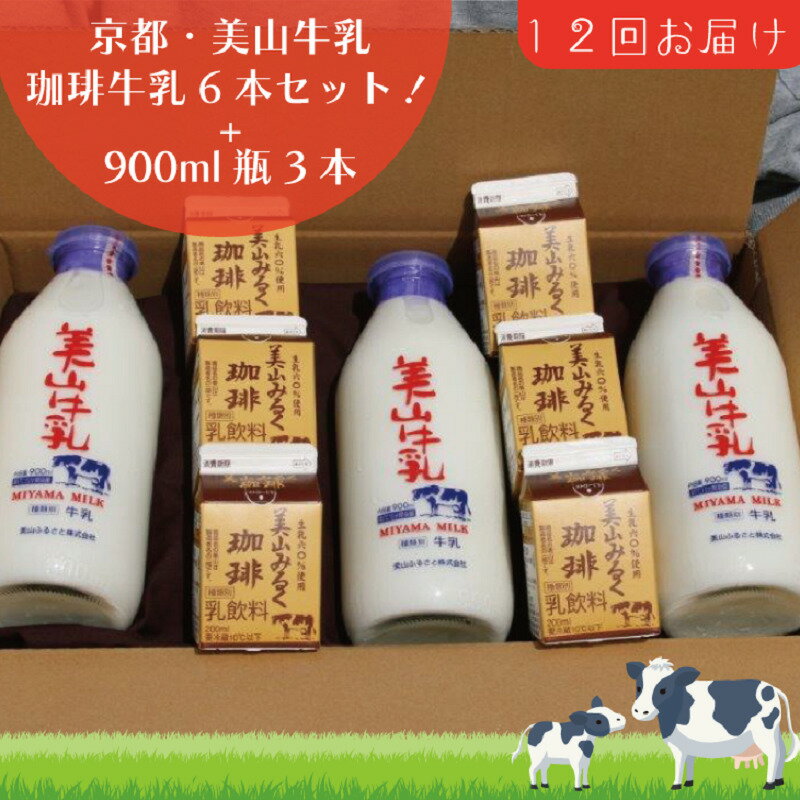 【ふるさと納税】牛乳 定期便 12ヶ月 京都 美山牛乳 瓶 900ml ×3本 珈琲牛乳 200ml ×6本 詰め合わせ セット 美山町 お取り寄せ コーヒ..