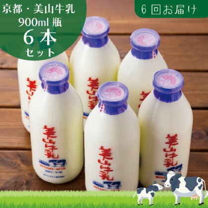 牛乳 定期便 6ヶ月 京都 美山牛乳 瓶 900ml ×6本 セット 美山町 お取り寄せ 定期 お楽しみ 6回 ※北海道・沖縄・離島への発送不可　【定期便・ 南丹市 】